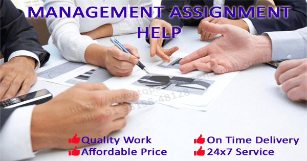 Management Assignment Help Writing