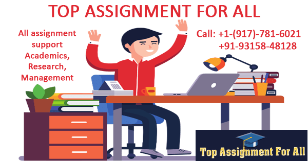 Top Online Assignment Help