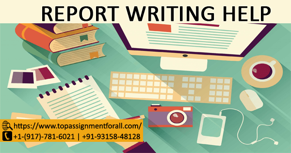 Report Writing Help