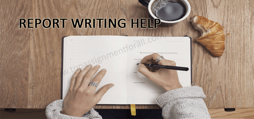 Report Writing Help-page Banner